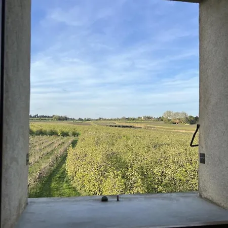 Vakantiehuis D'ysee Au Milieu Des Vignes
