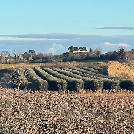D'ysee Au Milieu Des Vignes Pont-Saint-Esprit