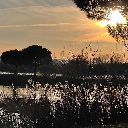 Vakantiehuis D'ysee Au Milieu Des Vignes
