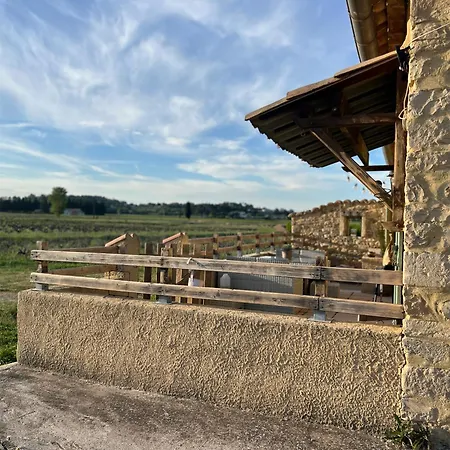 Holiday home D'ysee Au Milieu Des Vignes *